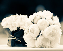 White Tulipa Wedding Planner Cassano d'Adda